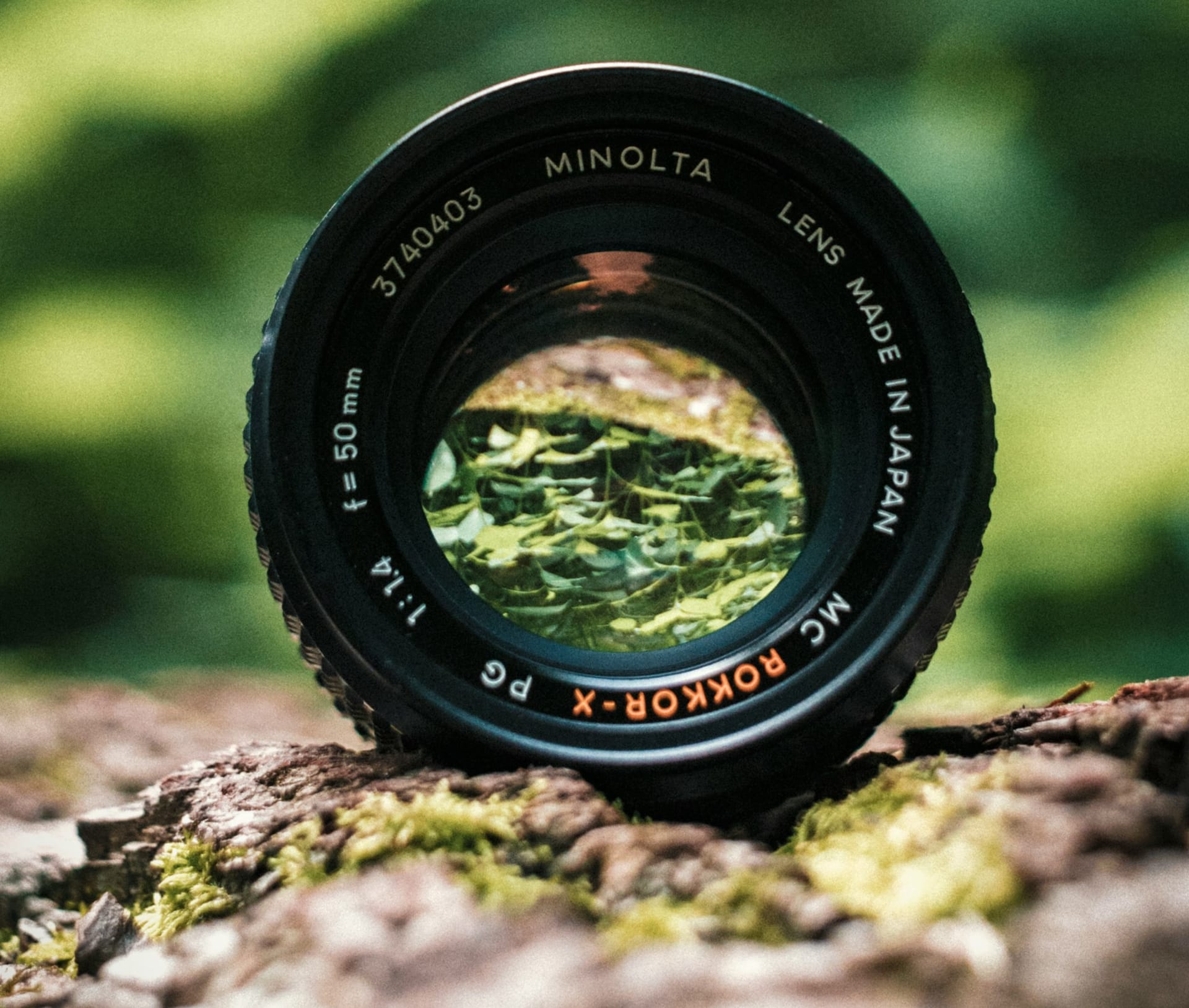 A Focus on Belonging For The Kids.