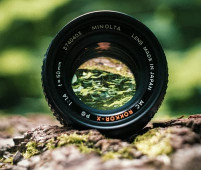 A Focus on Belonging For The Kids.